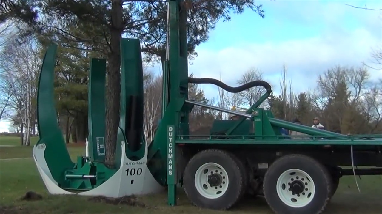 德国大型蔬菜移栽机,德国移植树木机器视频