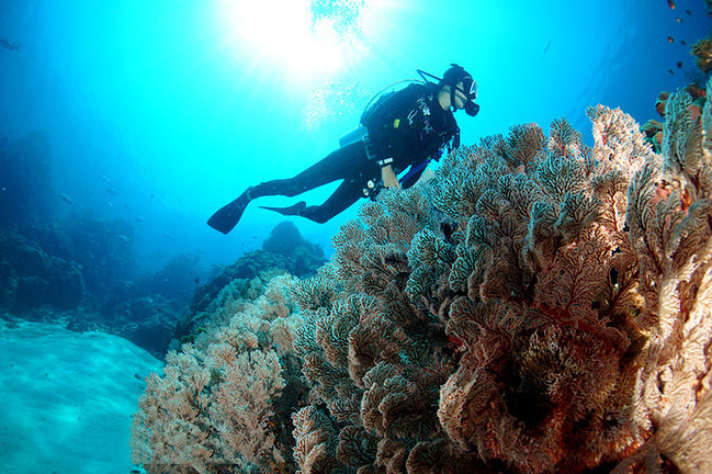 水肺潜水基本注意事项,广州海底水肺潜水注意事项