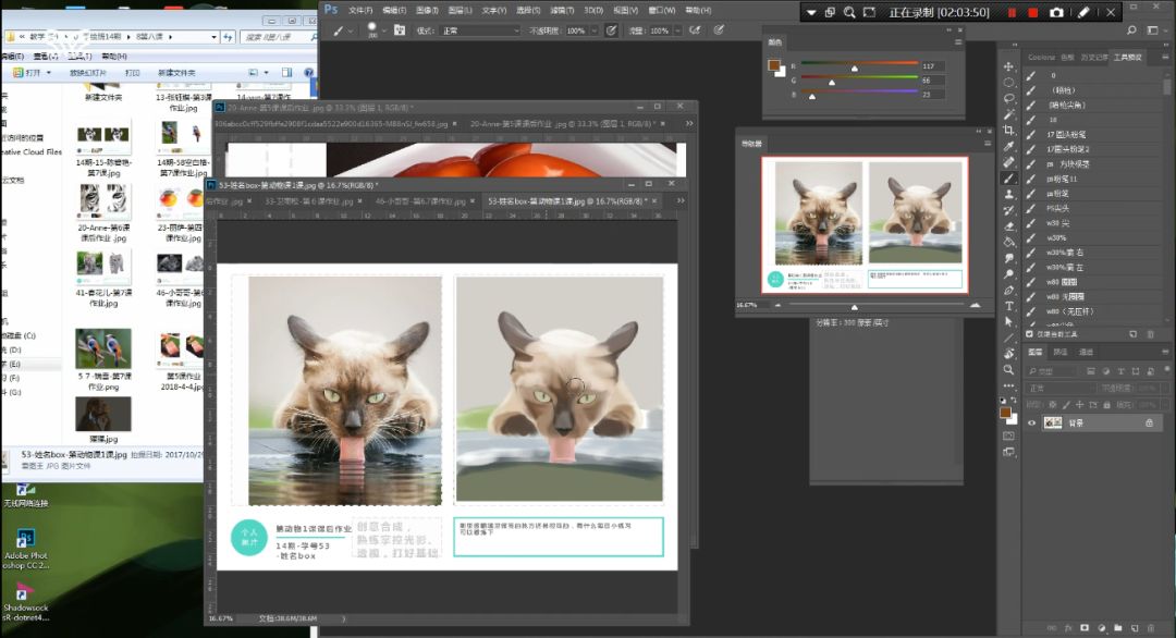 ps手绘100个小妙招,ps手绘零基础教程