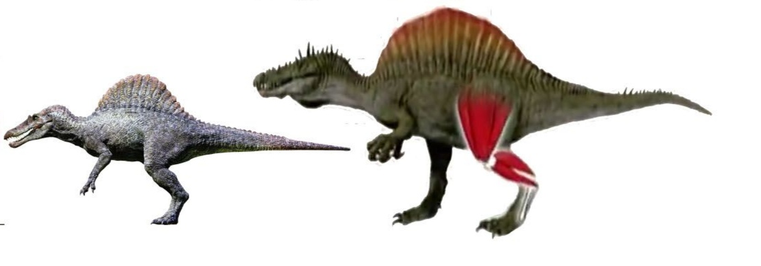 《侏罗纪公园3》棘龙打败霸王龙:主角光环实力碾压?