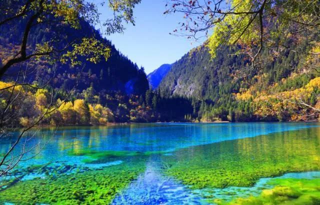 三年级写作技巧例文,仿写作文的方法与技巧三年级全册