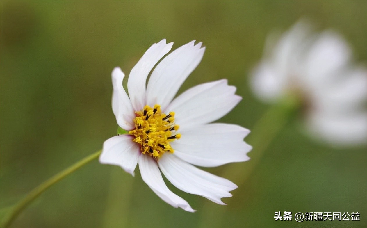 被女友传染艾滋病该不该告诉她,前女友得了艾滋病该怎么办