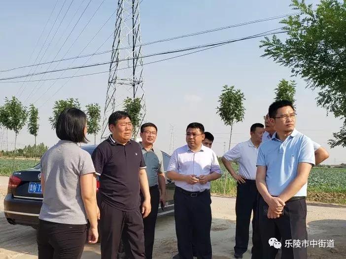 重点工作周报,街道工作周报