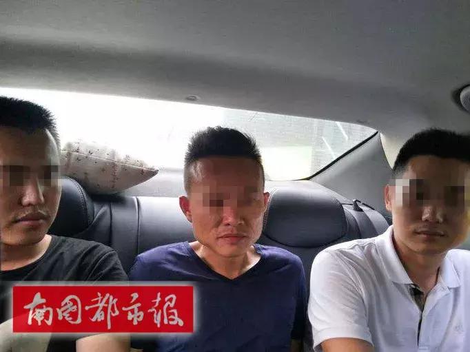 海口黄花梨佛像被盗,海南黄花梨佛像被盗