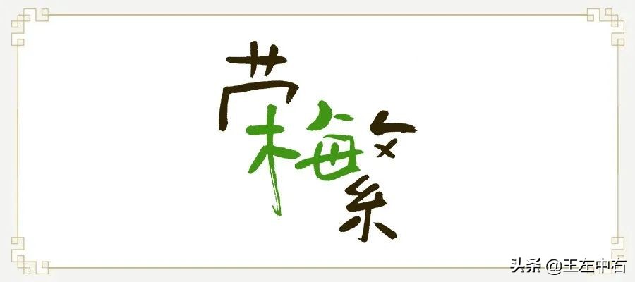除了唐诗，中国青梅也被日本当成了宝