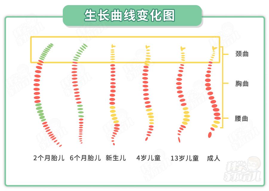娃几岁用枕头,娃多大可以用枕头