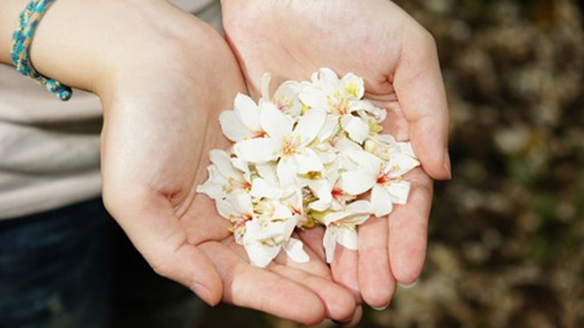 女人的这些“隐私”，不会轻易告诉男人，除非她爱上了他！