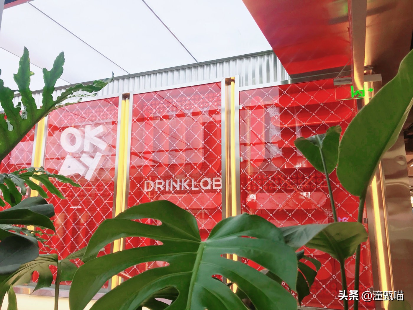 不会玩滑板但爱街头范,爱奶茶又想玩不一样花样,来这统统满足你