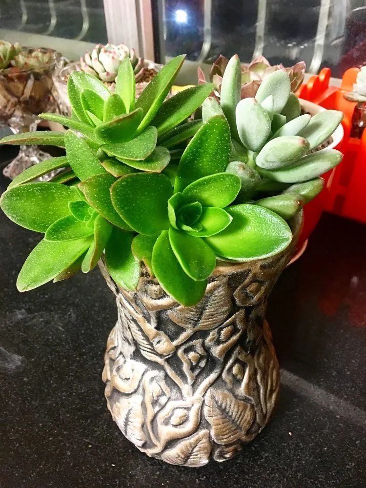 2021牛转乾坤砥砺前行,2021年牛转乾坤时来运转