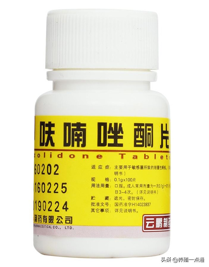 观赏鱼杀菌盐使用方法,水产鱼药观赏鱼可以用吗