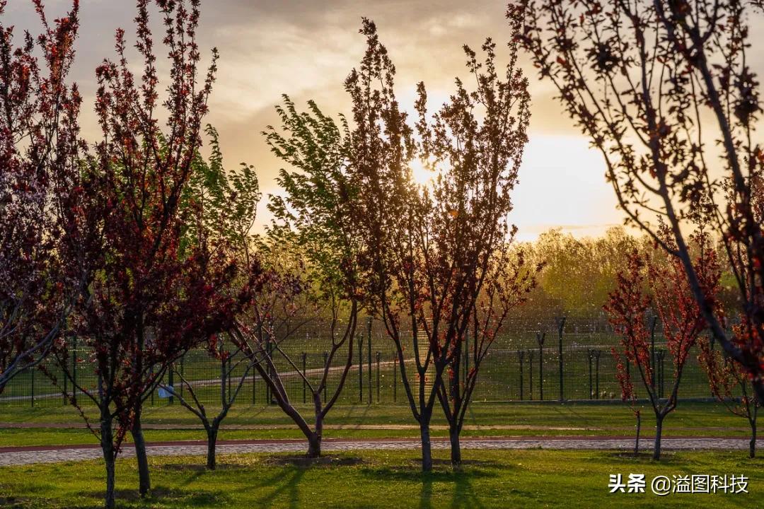 松下全幅无反,松下24-70f2.8镜头评测