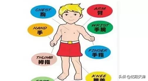 小学英语单词汇总大全人教版,小学英语单词汇总表人教版新起点