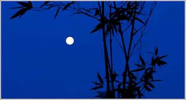 月光下的村庄作文六年级450,六年级上册小说作文月光下的村庄