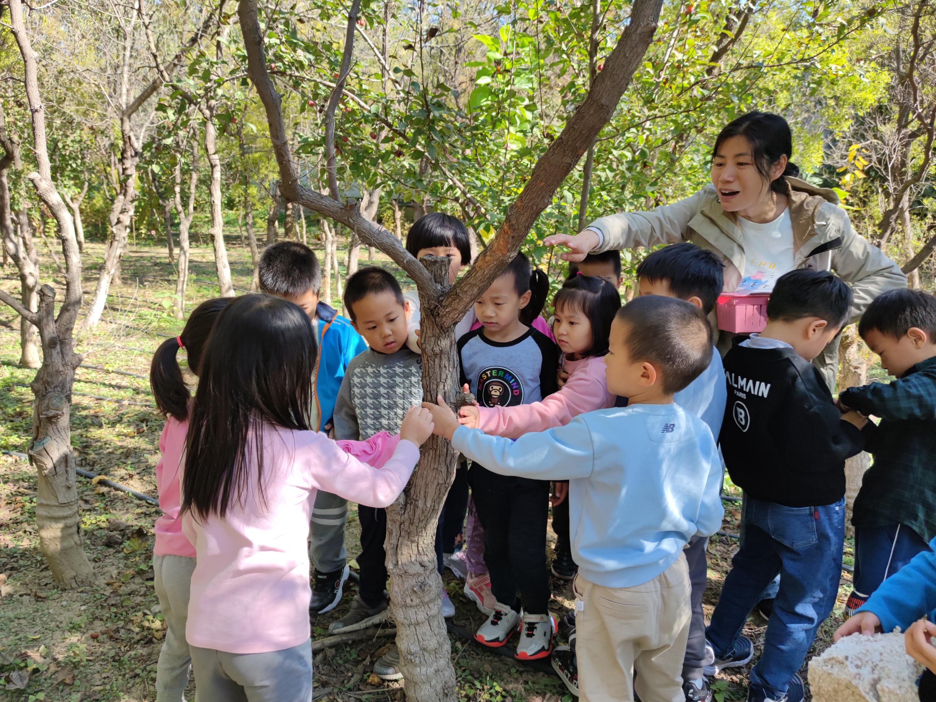 日日新小学怎么样,为什么小学要换班