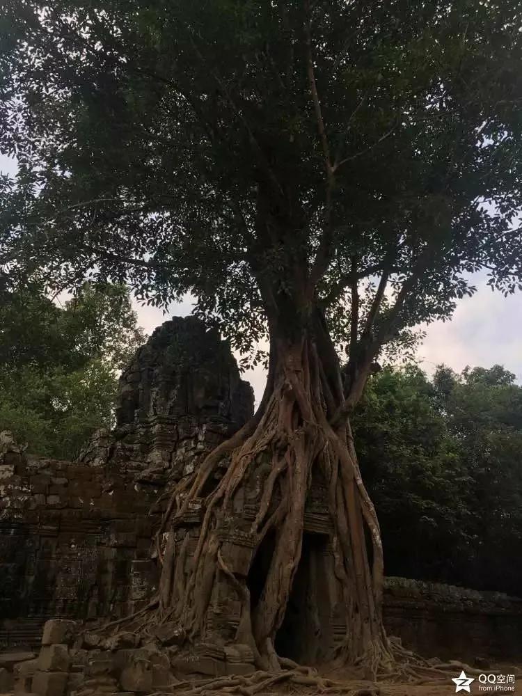 越南柬埔寨吴哥窟,越南越美2016