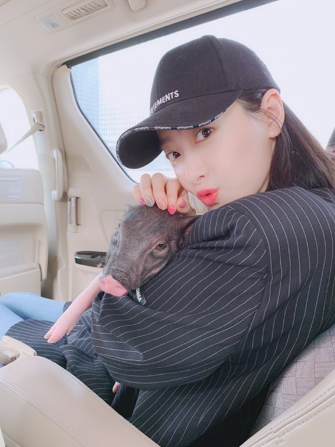 狗生巅峰！陈伟霆家狗狗被抱着睡住湖景豪宅，宋茜家宠物猪更时髦