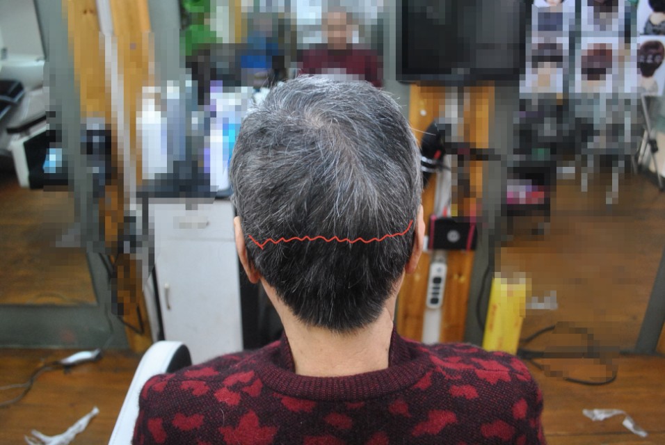 遮盖白发假发真发,遮白发神器假发无刘海