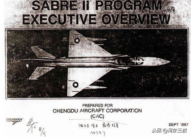 中国版f14雄猫战斗机,f-14雄猫战斗机被击落