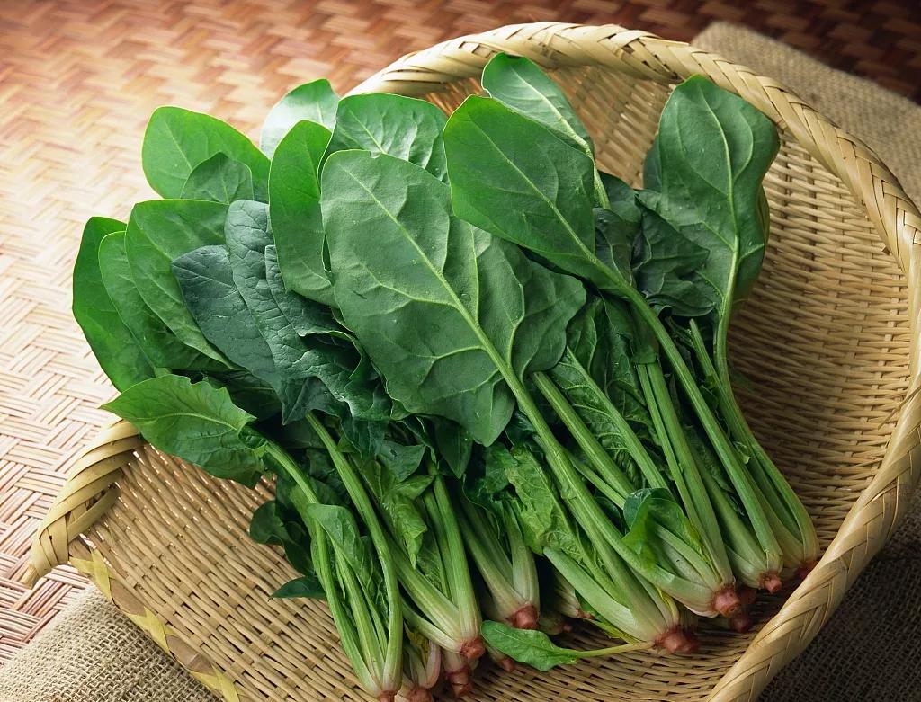 好好吃饭|蔬菜天然擅“通利”，是古人的“排浊”神器