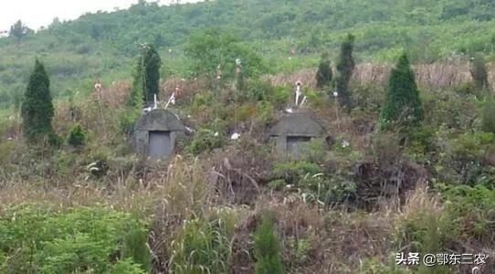 农村老话说冷棺莫入村,宁住荒坟不宿古庙的意思