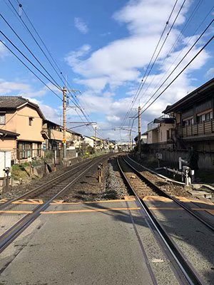 2020鏃ユ湰澶ч槳,澶ч槳浜兘濂堣壇鍏ぉ瀹夋帓