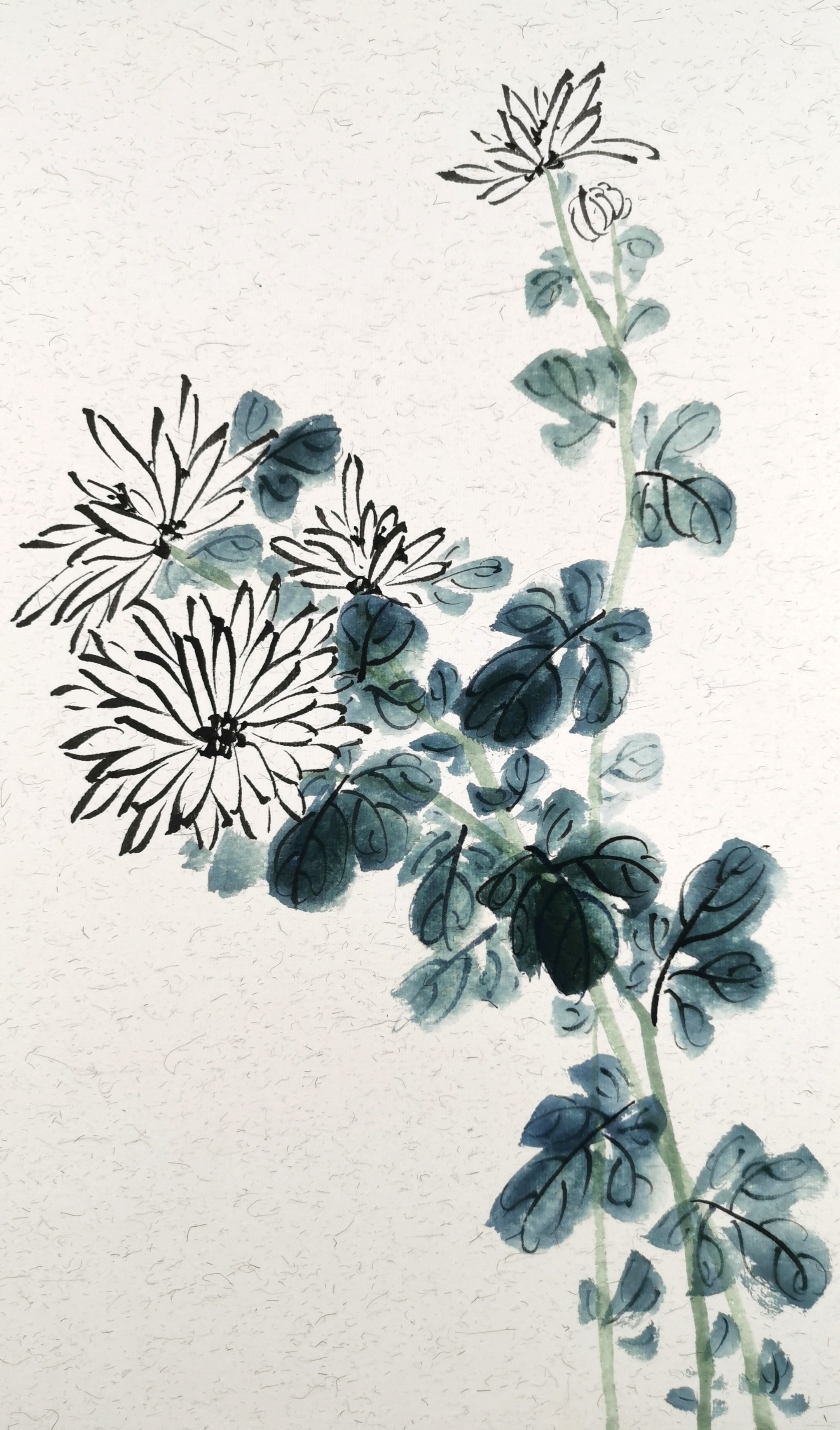 菊花写意的画法步骤图,卷叶菊花的写意画法