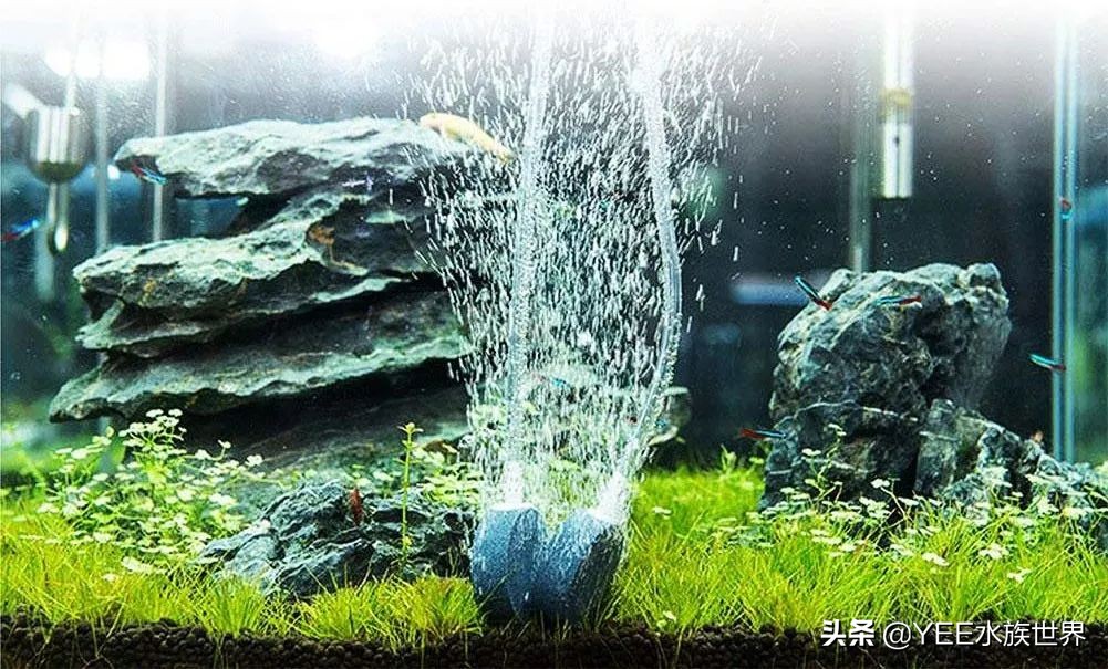 氧气泵噪音大如何消除,氧气泵如何隔音防止噪音