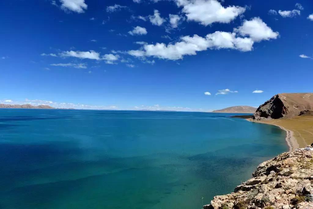 冷知识鲜为人知,冷知识大全恐怖未解之谜