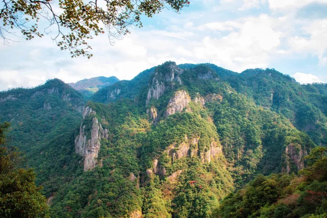 西溪湿地国家公园最近有什么节目,杭州西溪湿地附近大火