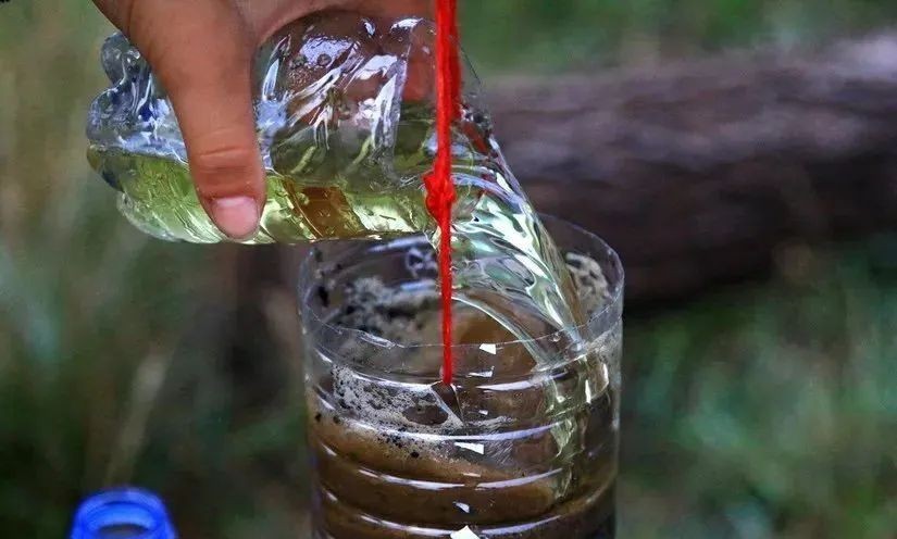 生存小技巧钻木取火,荒野生存取水技巧