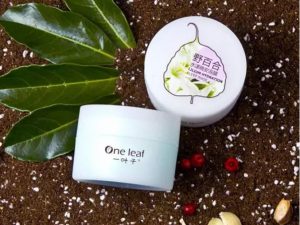 一叶子睡眠面膜补水保湿,一叶子睡眠面膜成分表