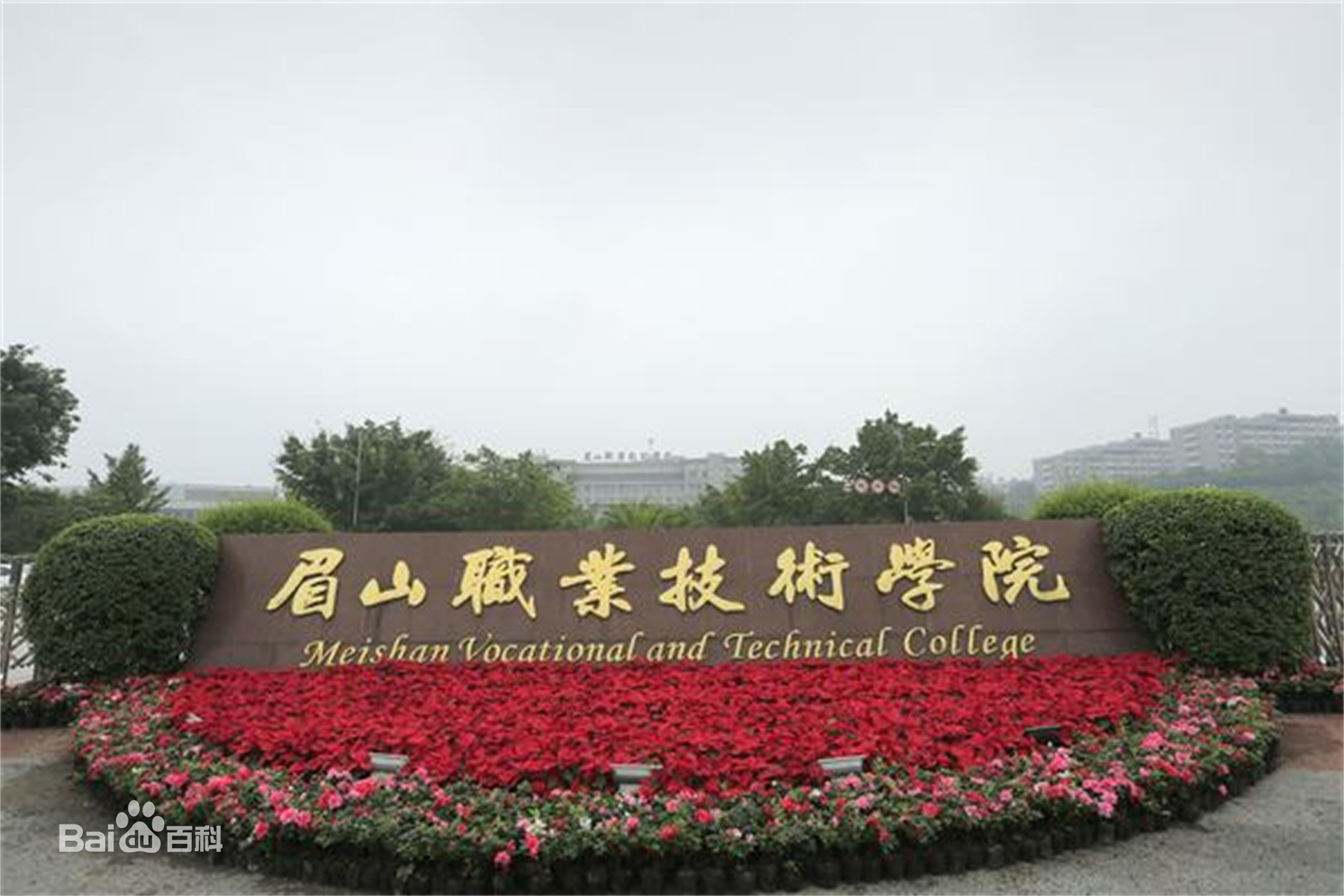 四川的各大职业技术学院,四川内所有的职业技术学院