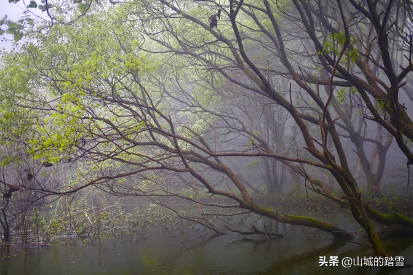 大洪山白龙池,大洪山风景名胜区白龙池