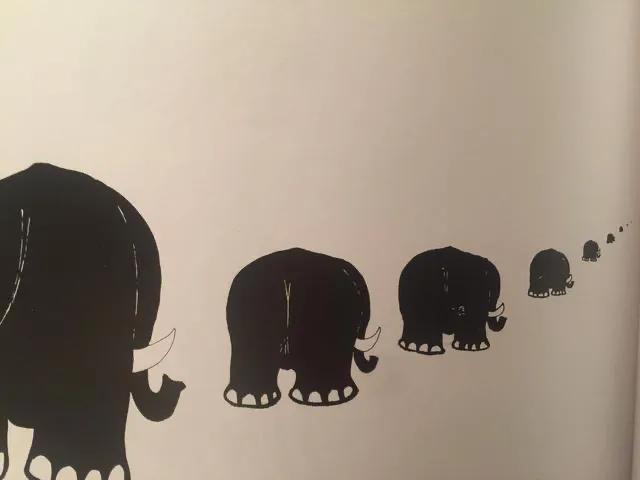 妈妈，我要和大象一起数粪球