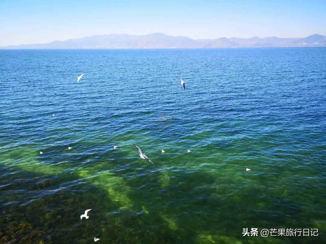 广州到云南5天旅游攻略图,广州去云南抚仙湖怎么去