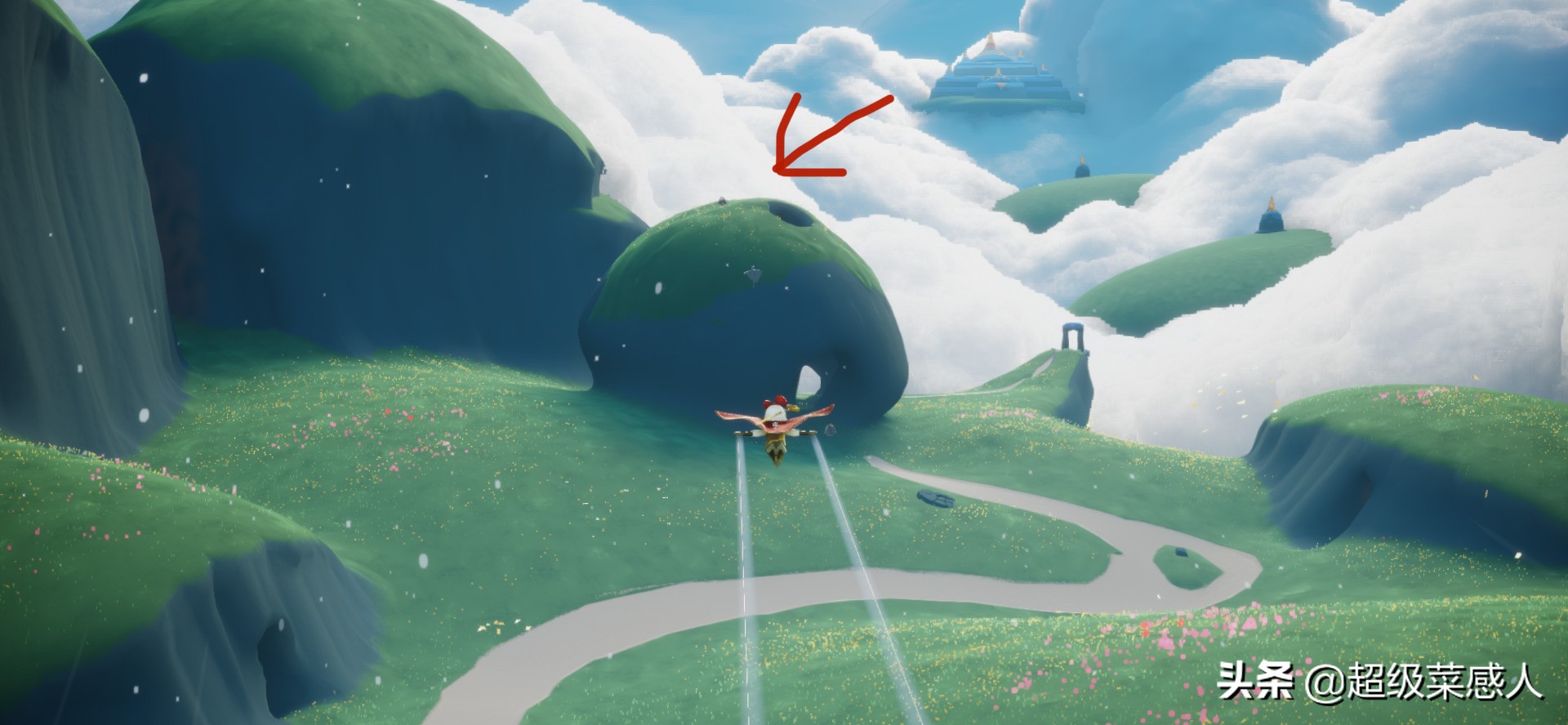 光遇最新复刻先祖蝴蝶结,礼花蝴蝶结先祖在哪