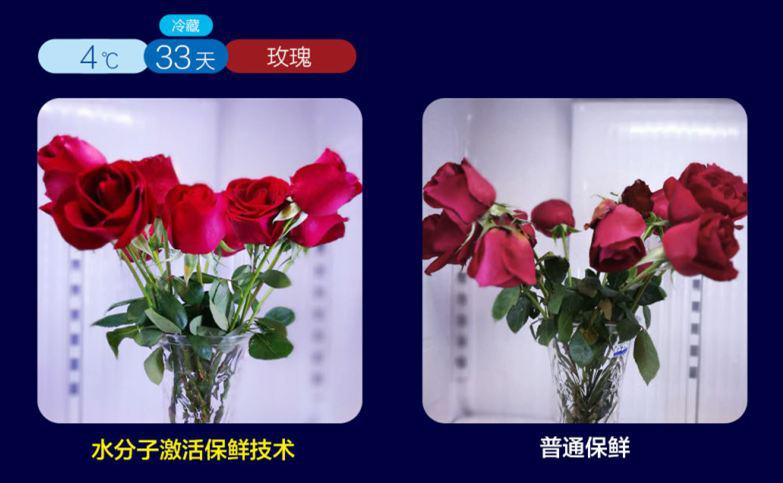 美菱冰箱点评,美菱冰箱m鲜生系列评测