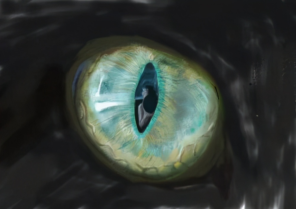 英国影响世界的十大发明,英国近代对世界的贡献