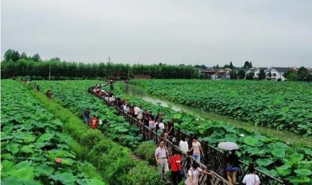 成都周边免费森林公园,成都十五个免费公园