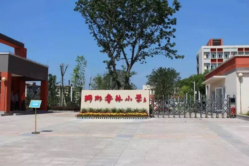 南岸珊瑚小学南山校区,重庆珊瑚小学和树人小学