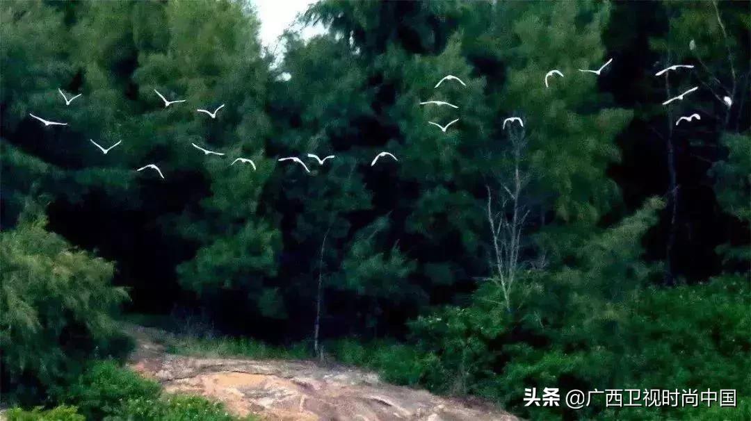 中国国际时装周石狮,石狮时装周展会