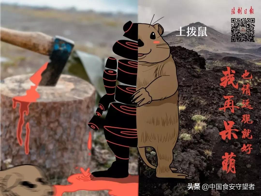 野生动物名录2021,最新三有野生动物名录