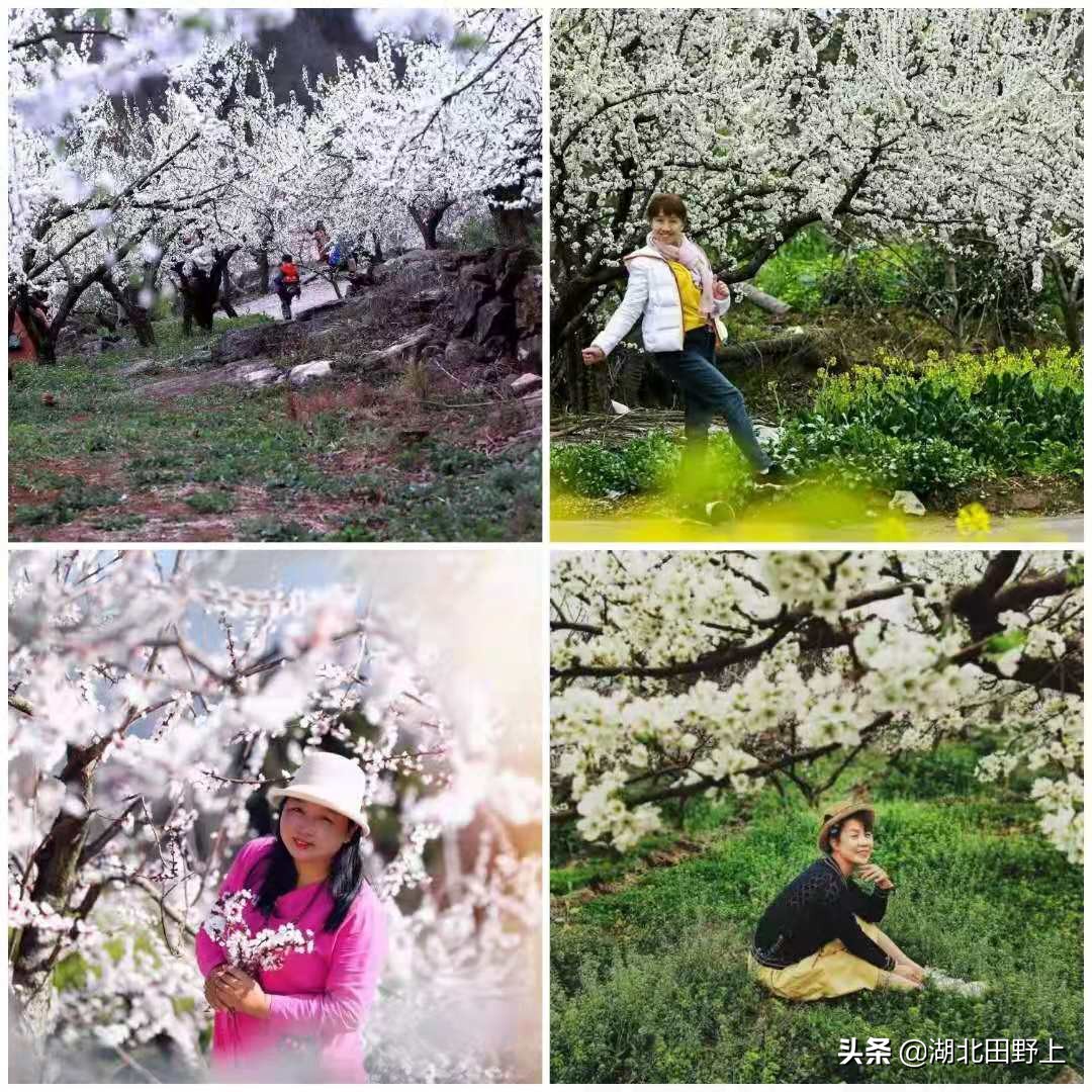 推荐的民宿采摘,浙江隐匿山野的民宿桃源仙境