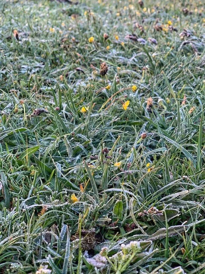 6月徒步乌孙古道骑马穿越,几月去乌孙古道徒步合适