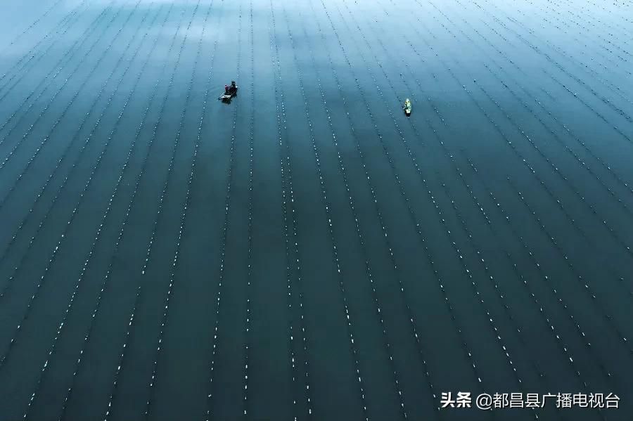 都昌县经济高质量发展,都昌县发展规划