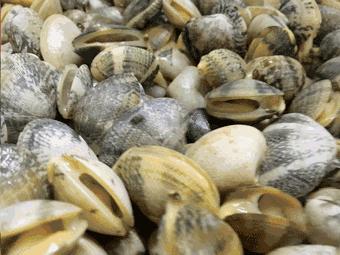 广州海鲜天堂介绍,广州黄沙有哪些海鲜