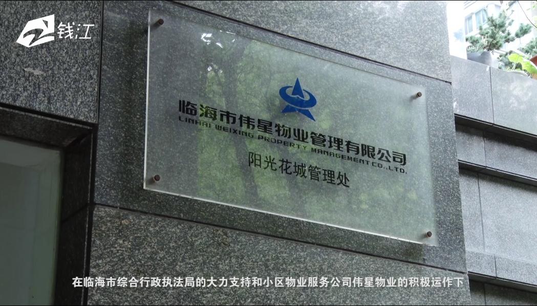 浙江宁波伟星新闻,伟星新闻联播