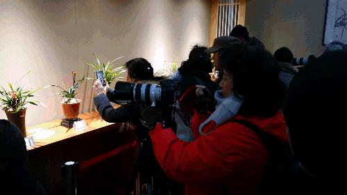 美美美！海淀这个地儿，万株兰花惊艳来袭，你招架的住吗？