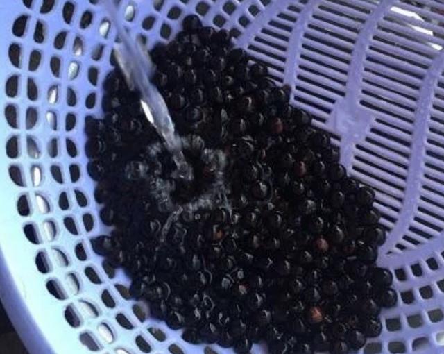 家庭版珍珠奶茶超简单实用教程,家庭版珍珠奶茶芋圆