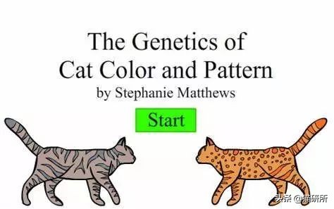 这9个猫界冷知识，你知道么？